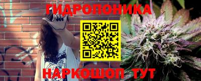 амф Жуковский
