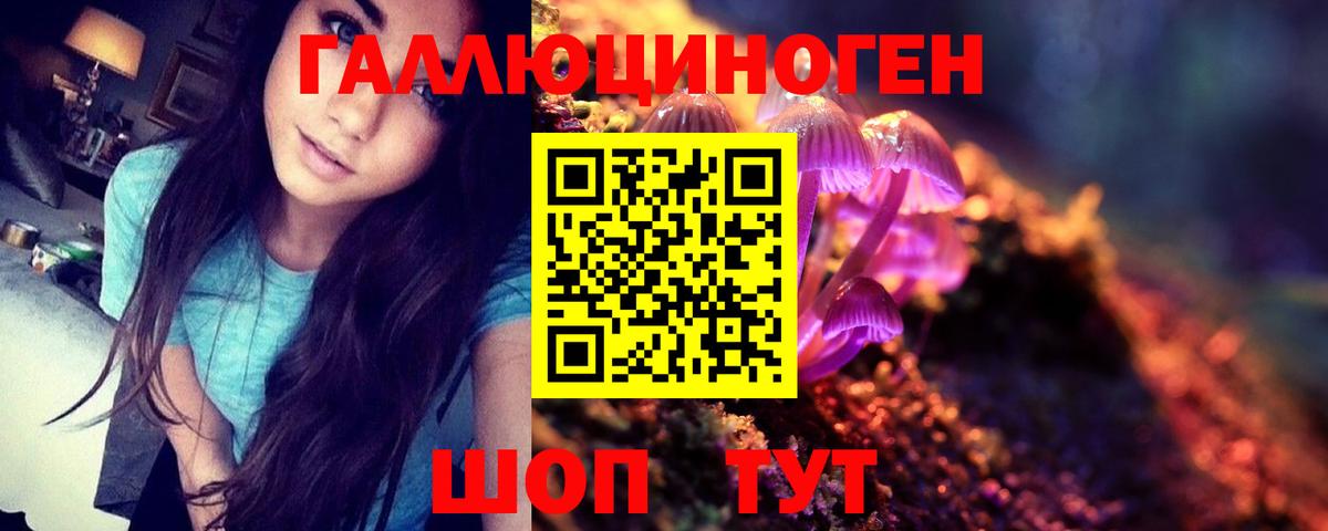 Псилоцибиновые грибы мухоморы  Вход с VPN  Мариинск 
